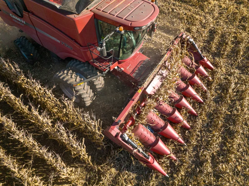 HeadSight | Corn